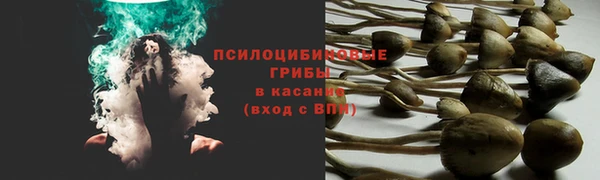 прущие крисы Навашино