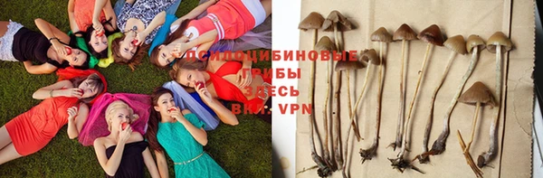 прущие крисы Навашино