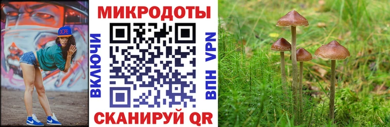 Галлюциногенные грибы GOLDEN TEACHER  МЕГА   Иланский  купить  